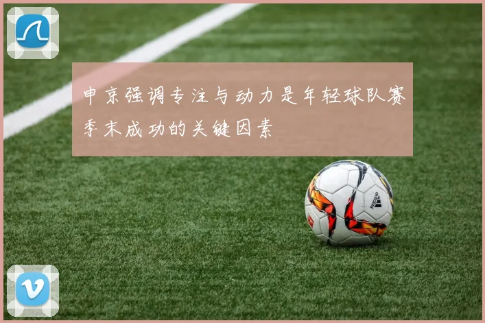 申京强调专注与动力是年轻球队赛季末成功的关键因素