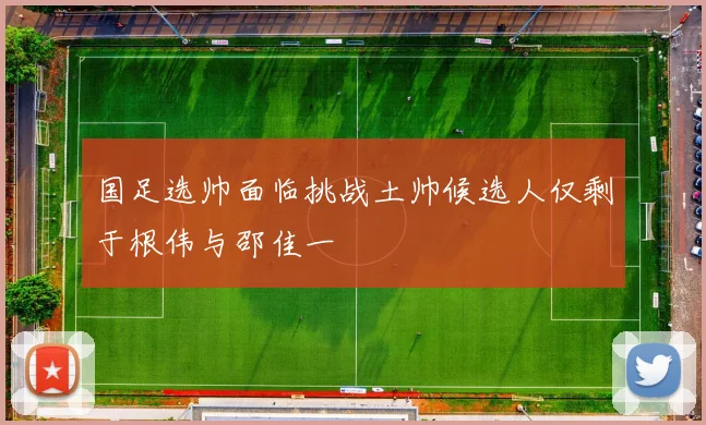 国足选帅面临挑战土帅候选人仅剩于根伟与邵佳一