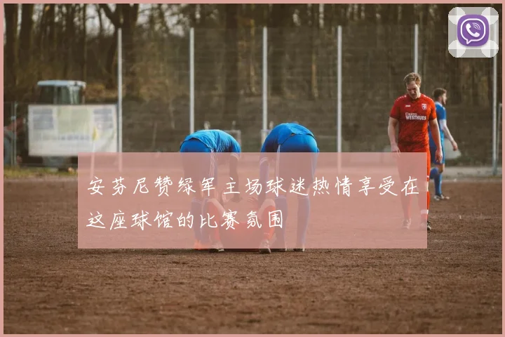 安芬尼赞绿军主场球迷热情享受在这座球馆的比赛氛围